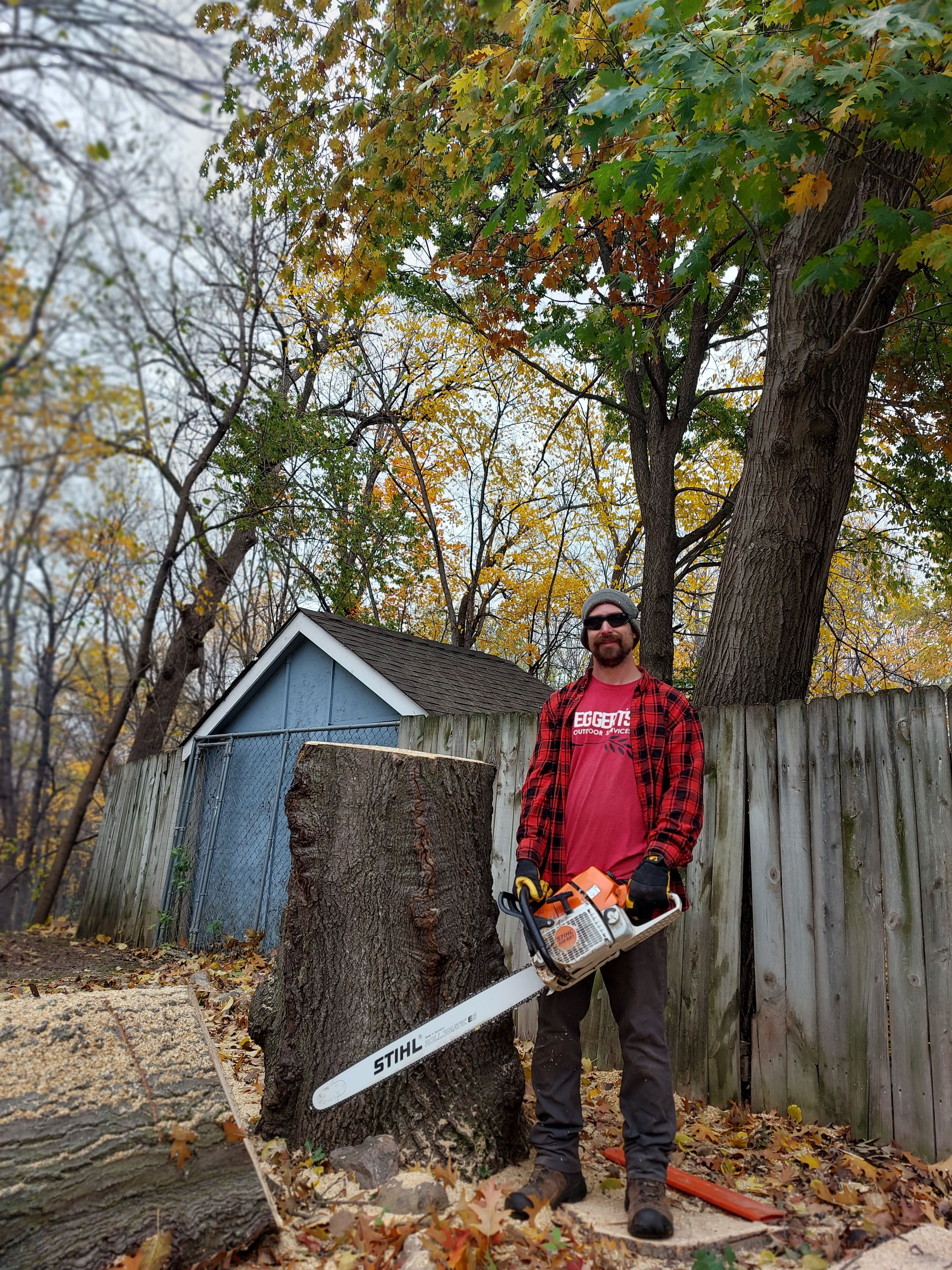 Project Celebrating Five Years with Eggert's Tree Service image