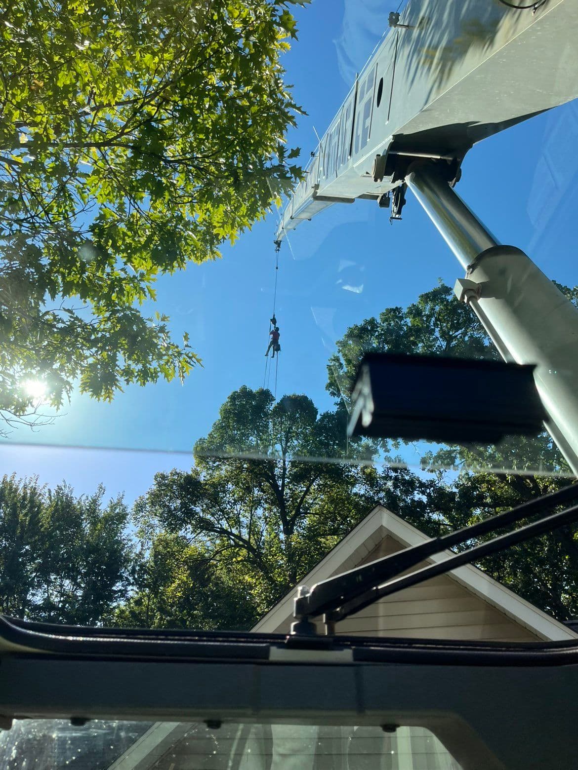 Project High-Flying Tree Removal Adventure image