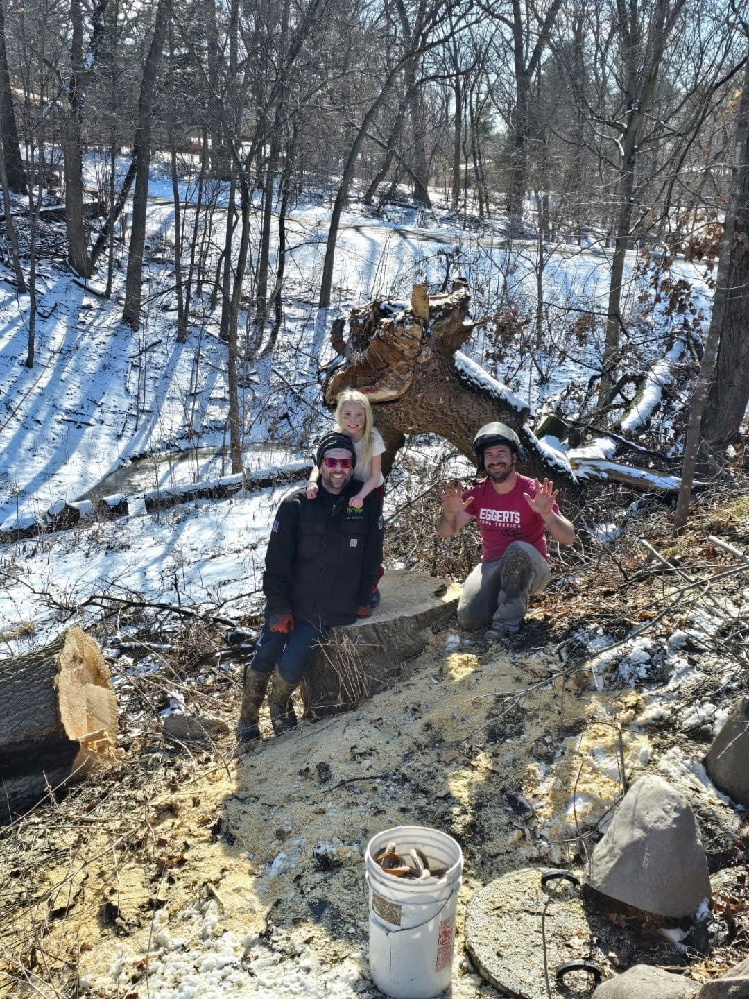 Ensuring Safety Through Tree Removal in Winter Wonderland image