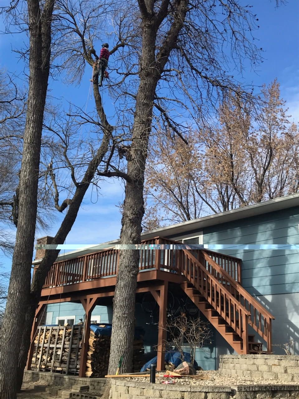 Safe Tree Management in St. Michael MN image