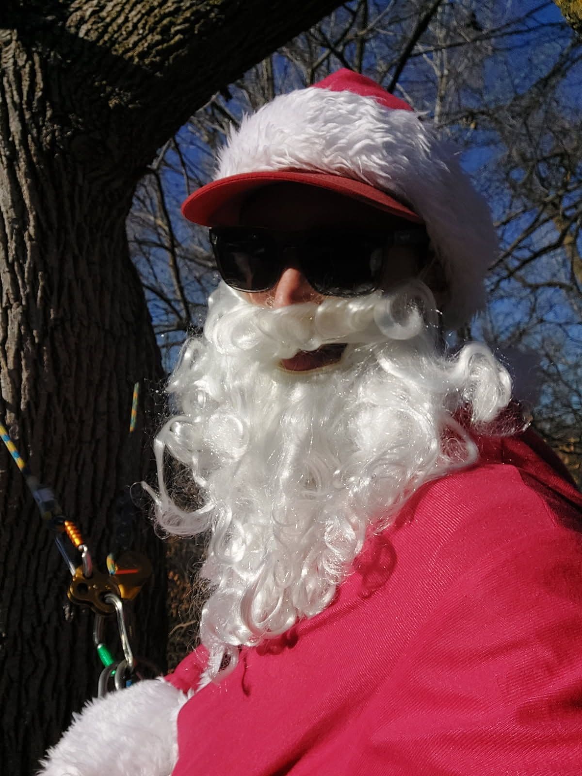 Project Santa's Tree Climbing Adventure with Eggert's Tree Service image