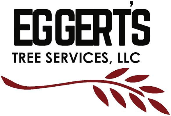 Project Eggert's Tree Service Arrives in Albertville image