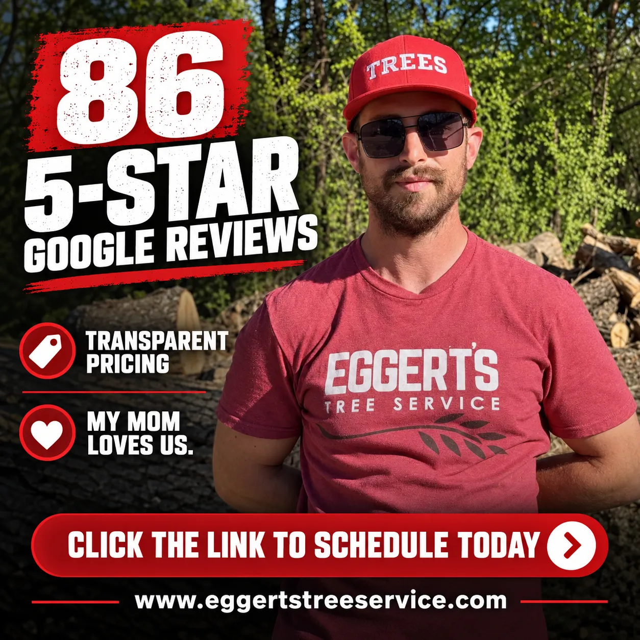 86 Five-Star Reviews and Still Earning Every Single One image