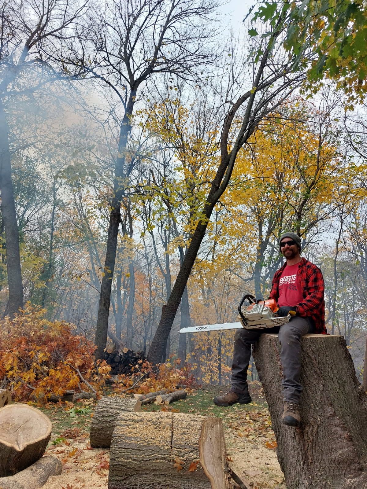 Dedication-Fueled Autumn Tree Care image